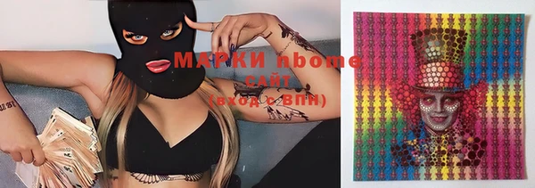 дмт Алзамай